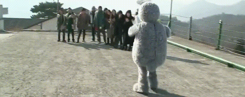 17552325257215.gif