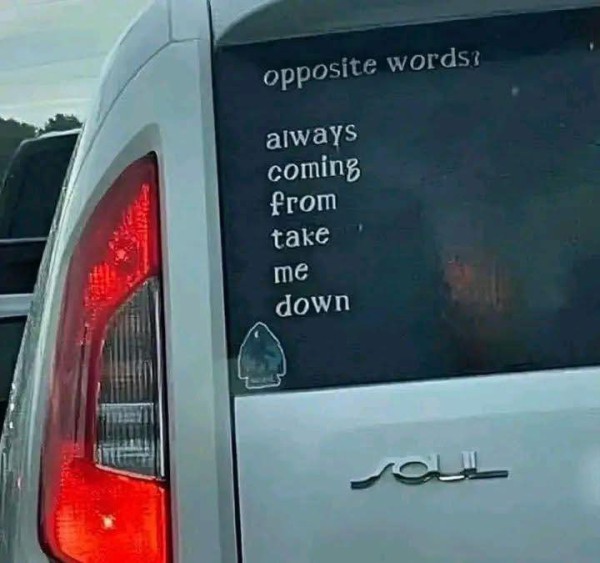17550987920542.jpg