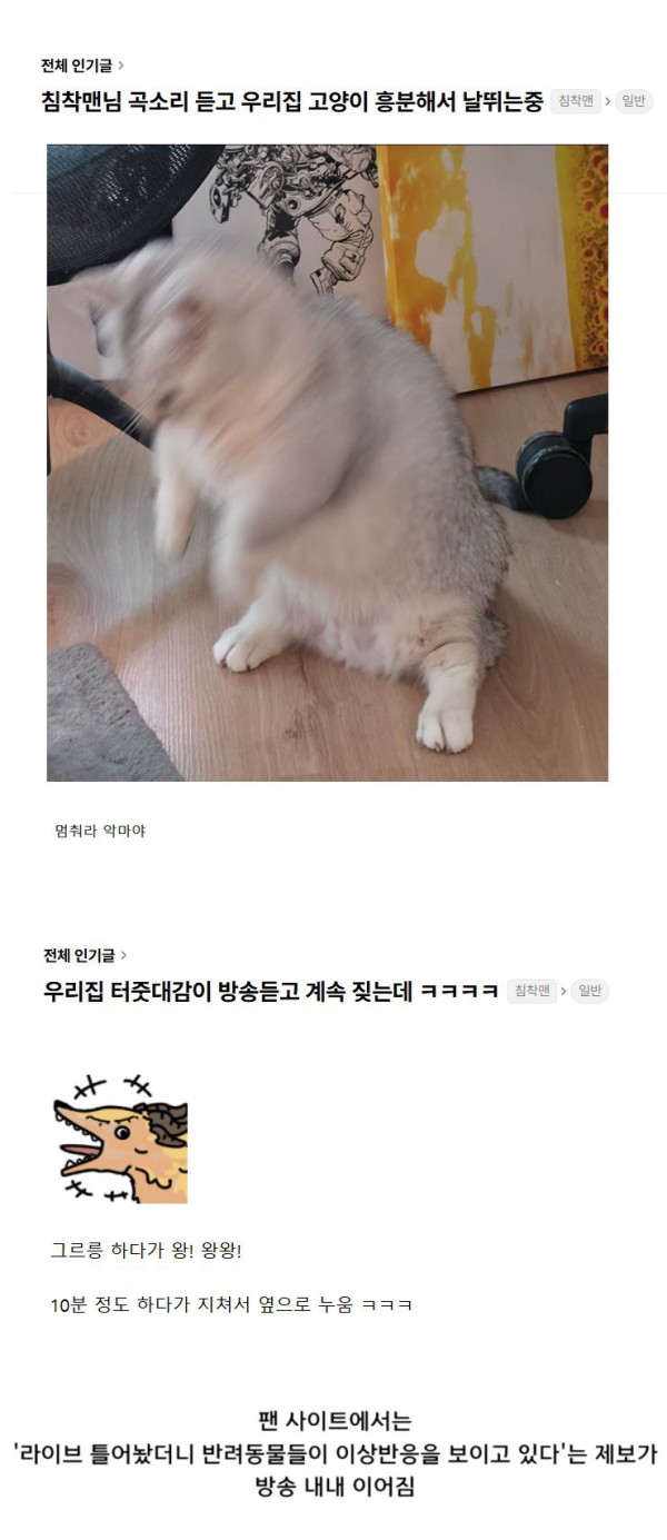 17552293744611.png