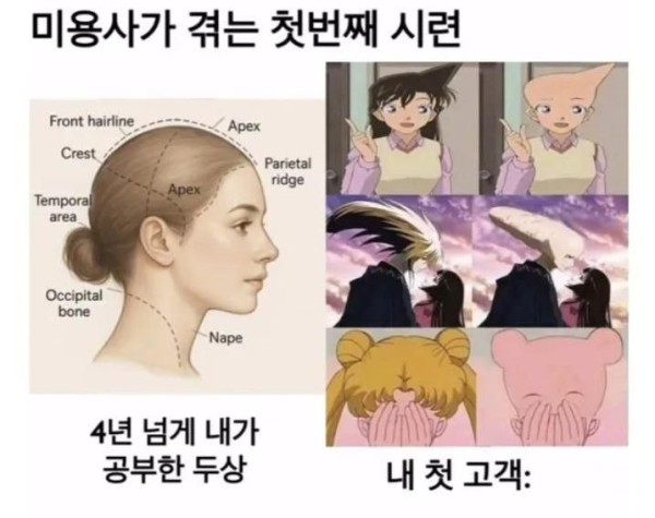 17552293775176.jpg