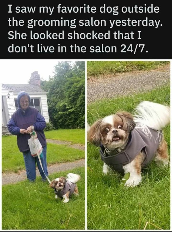 17552295662839.jpg