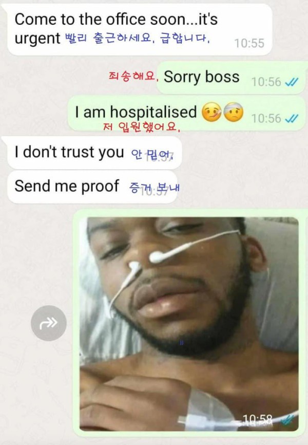 17552300163766.jpg