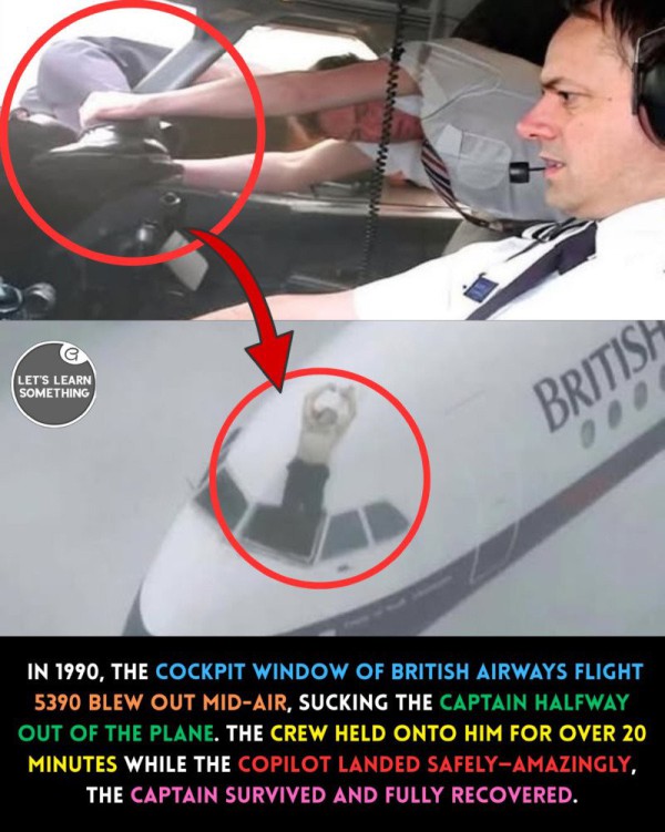 17552305274055.jpg