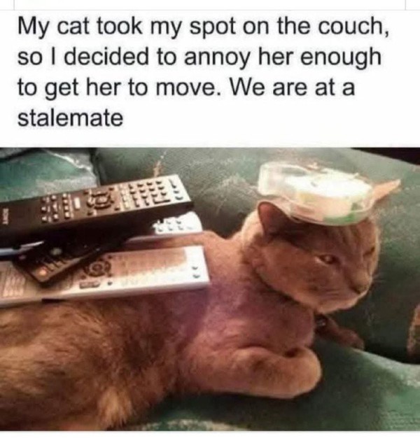 17552309158935.jpg