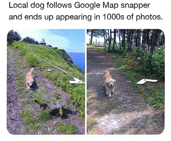 17552310789505.jpg