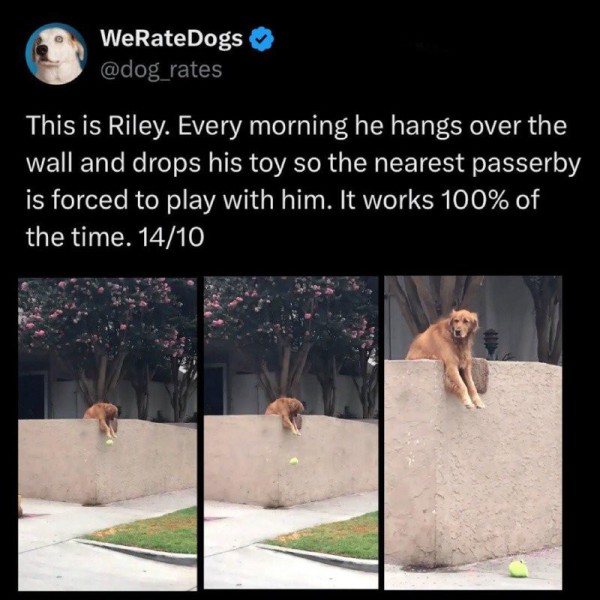 17552312455411.jpg