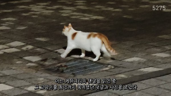 17552322752707.png