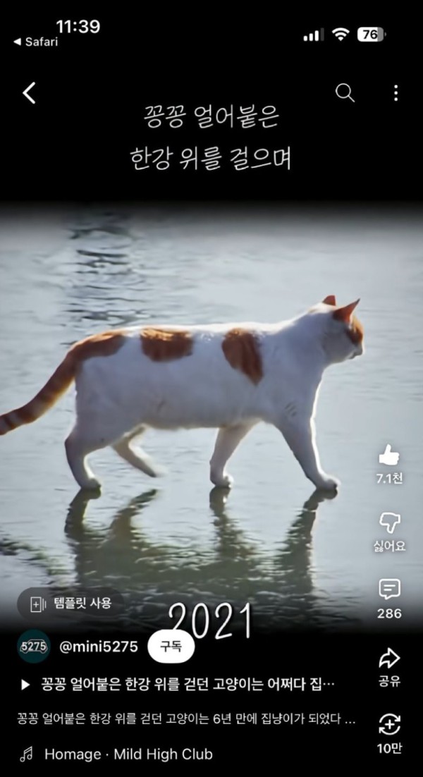 17552322783993.jpg