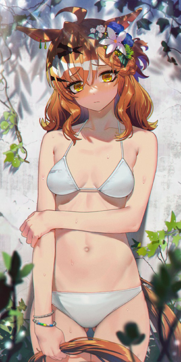 17552323278301.png