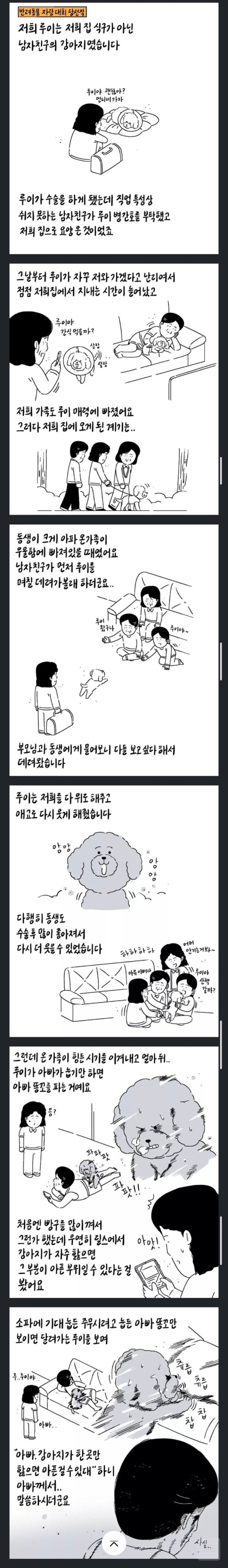 17552328388637.jpg