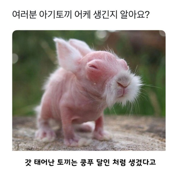 1755232991879.jpg