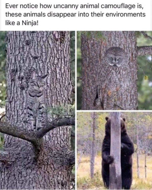 17553579798251.jpg