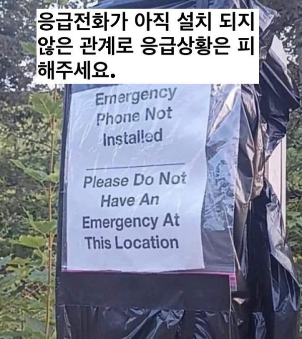 17554659930493.jpg