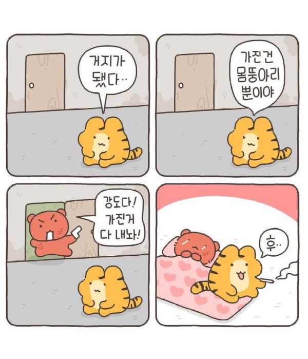 17558764529691.jpg