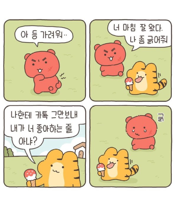 17558764533787.jpg