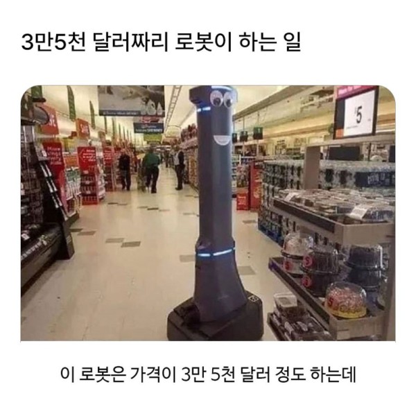 17563731932345.jpg