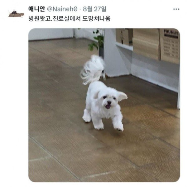 17567188219009.jpg