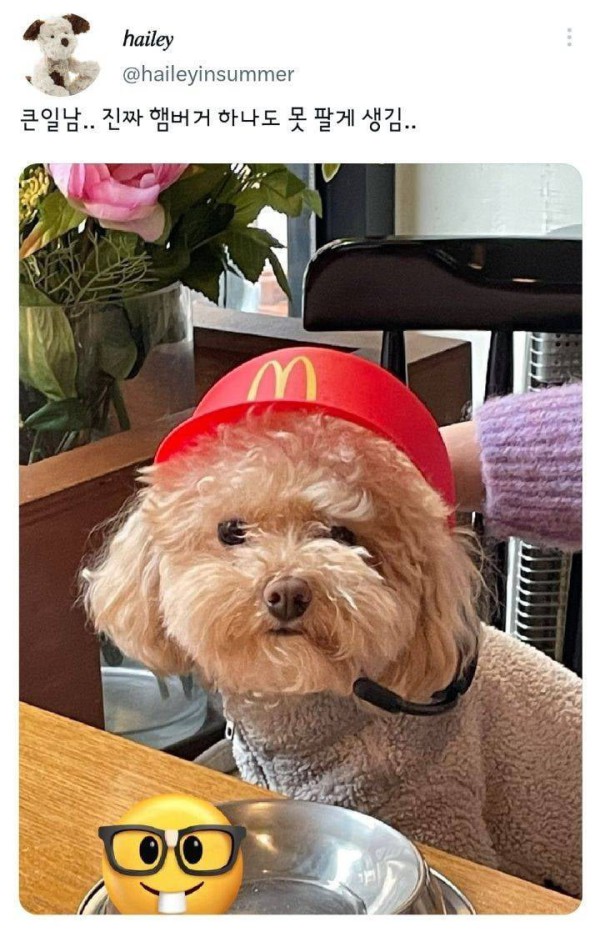 17568051824601.png