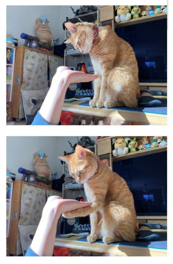 17569779810559.jpg