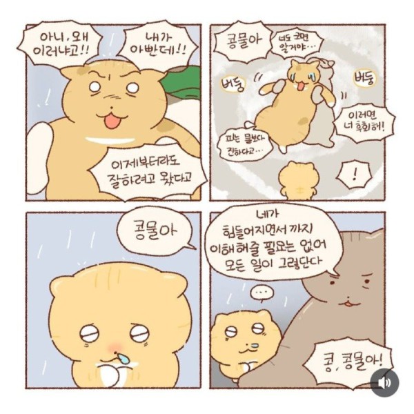 17570861425366.jpg