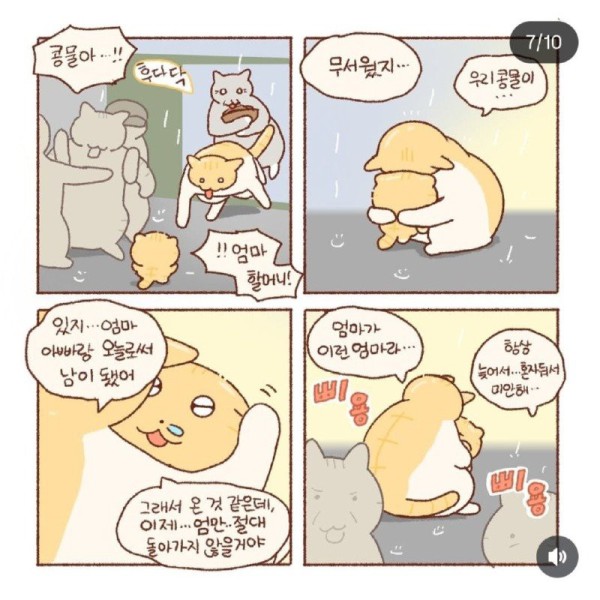 17570861444836.jpg