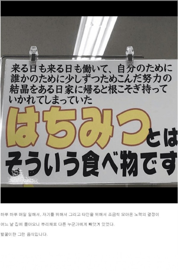 17573883641059.jpg